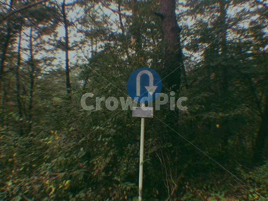 산,나무,휴식,산속,풀숲,자연