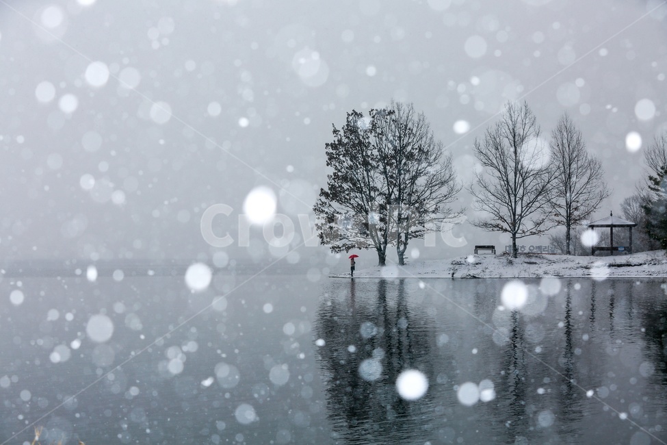 자연,눈,겨울,nature,storm,겨울,계절,winter,season,자연,풍경,nature,landscape