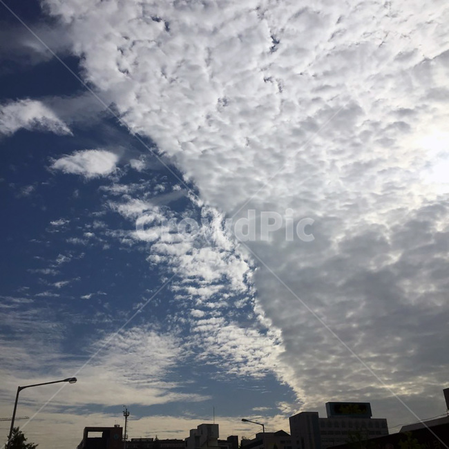 하늘,구름,파란하늘,바다구름,날씨,맑은날씨