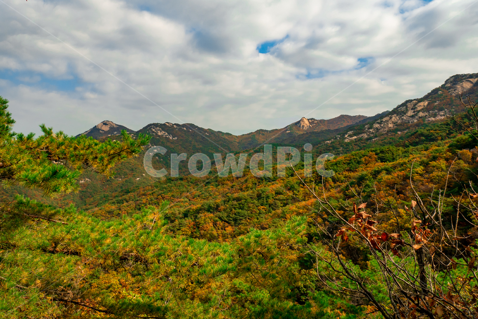 산,가을,자연,풍경,나무,배경,한국자연풍경,nature,mountain,tree,sky,fall,구름,outdoors,옥외,언덕,hill