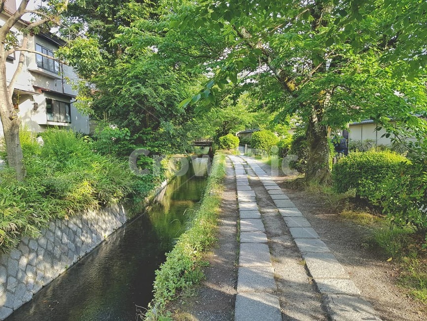 일본,교토,철학의길,산책,자연,하천,초록,나무,감성,japan,kyoto