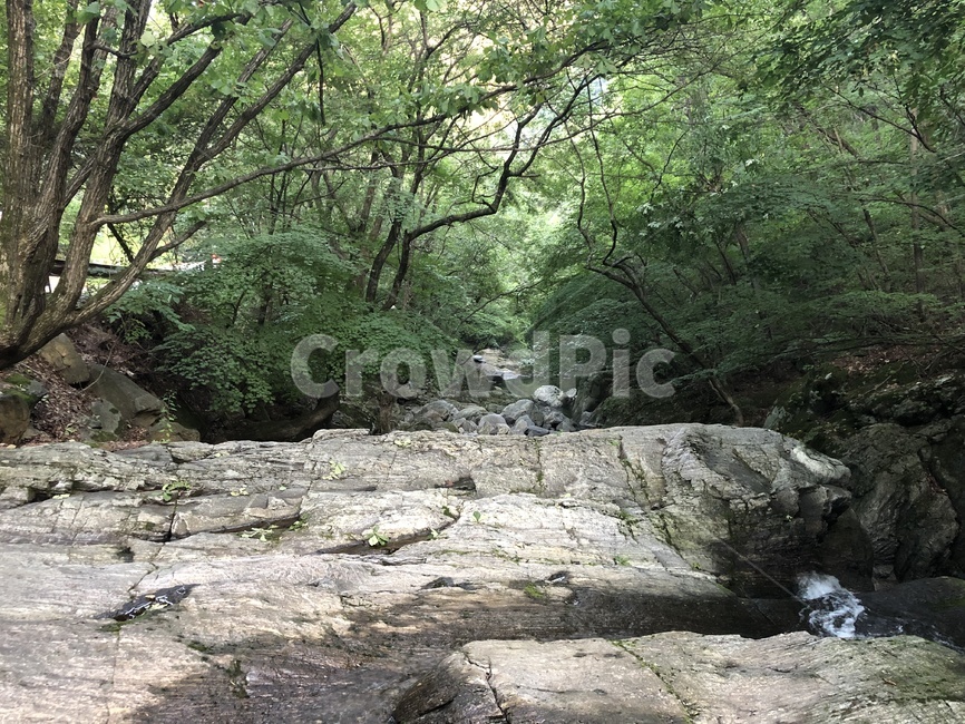 nature,자연,water,물,옥외,creek,작은만,stream,흐름,계곡,강원도,춘천,집다리골,암반,나무,초록,녹색,초록색,green,계곡물,경치,춘천시,자연,풍경,nature,landscape,outdoors,작은 만