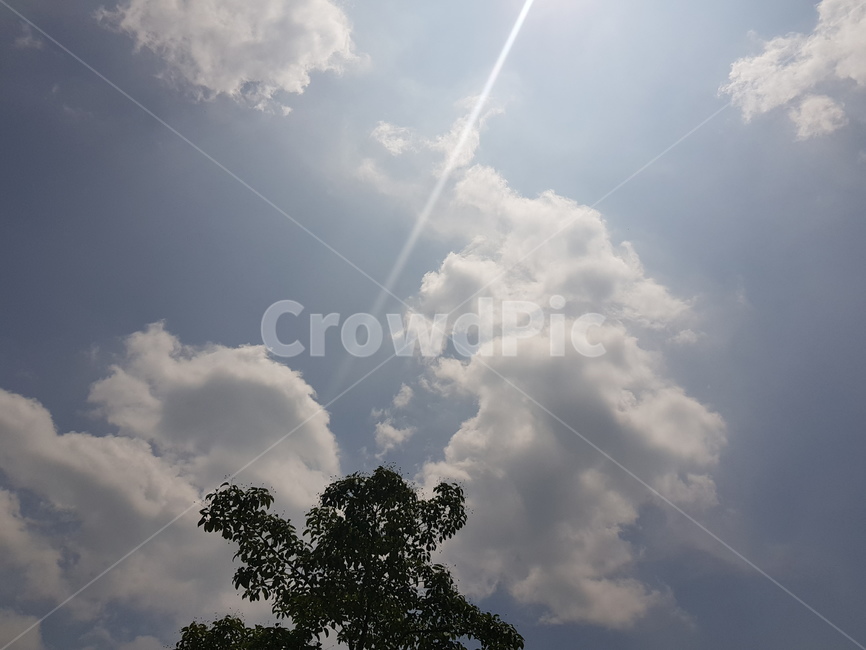 구름,하늘,푸른하늘,뭉게구름,하얀구름,흰구름,파란하늘,나무,햇살,cloud,sky,bluesky,tree,맑은하늘
