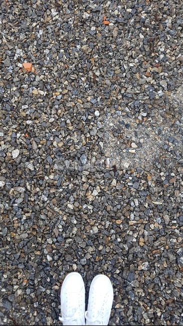 발,두발,양발,신발,운동화
