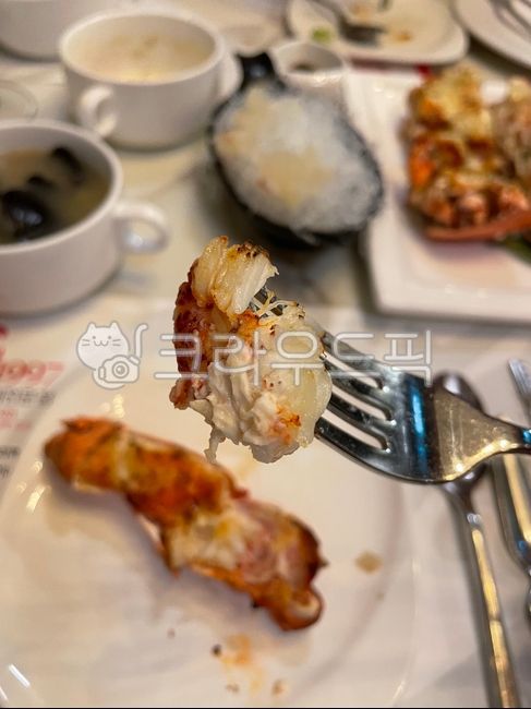 랍스터,바닷가재,가재,가재찜,랍스터구이,랍스터찜,고기,바다,생물,물고기,횟집,대게,킹크랩,킹크랩손,집게,대게집게