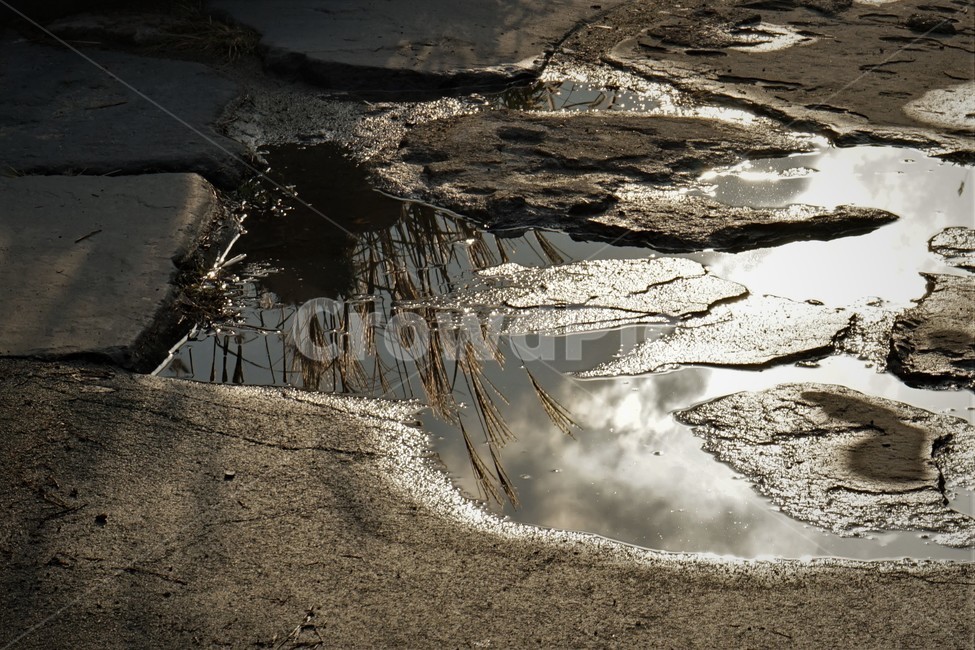 도로,물,빗물,고인물,돌,산책로,road,rain,water,reflection,반영,햇빛,자연,풍경,nature,landscape,puddle,흐리게 하다