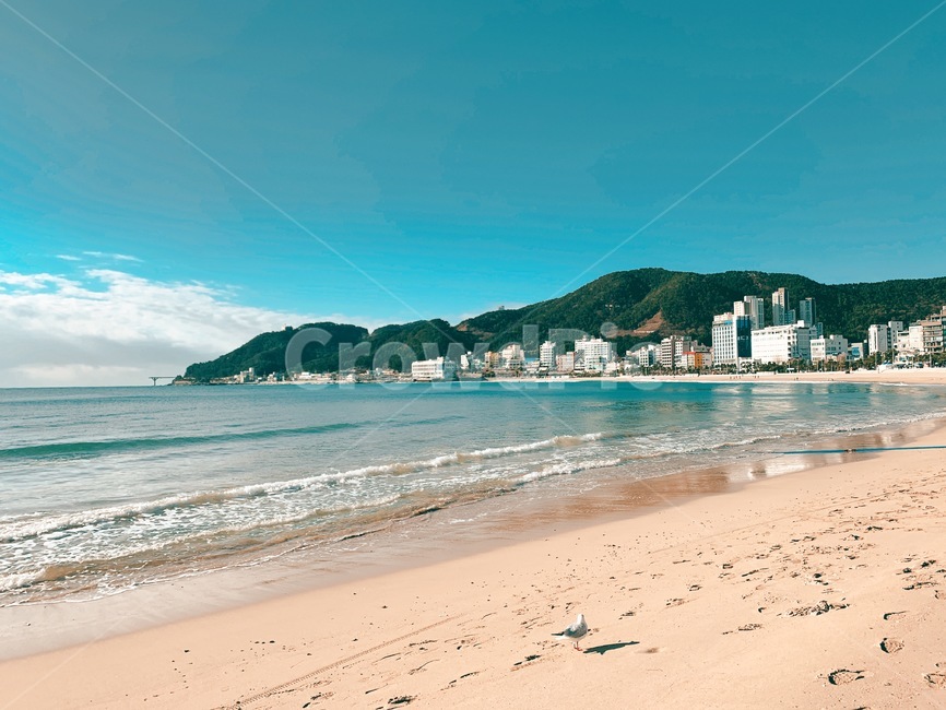 겨울,겨울바다,해수욕장,해안선,coast,beach,water,부산