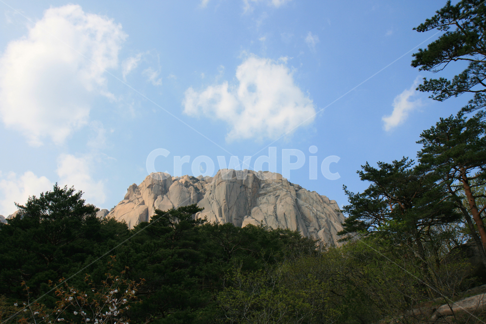 돌산,설악산,파란하늘,하늘,산정상,정상,산,산꼭대기,나무,등산,봄,여름,산속,높은산,휴양지,관광지,자연,풍경,nature,landscape,outdoors,옥외,cliff,낭떠러지