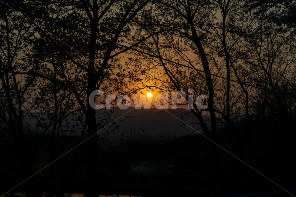 노을,풍경,저녁,태양,감성,따뜻함,나무,호수,배경,자연,풍경,nature,landscape,outdoors,옥외,flare,플레어,light,빛,dusk,황혼,sunset,일몰,sky,하늘,dawn,새벽,red sky,붉은 하늘,sunlight,햇빛