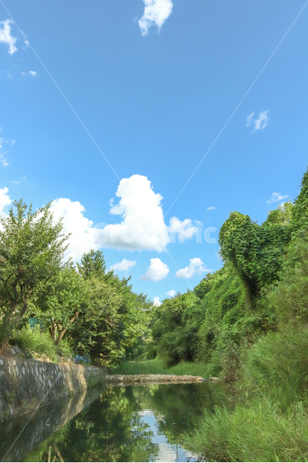 자연,연두,계곡,물,하늘,호수,sky,자연적인,여름,계절,summer,season,자연,풍경,nature,landscape,outdoors,옥외,water,plant,식물,vegetation,초목