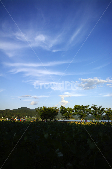 자연,nature,구름,하늘,나무,풍경,자연,풍경,nature,landscape,outdoors,옥외,sky