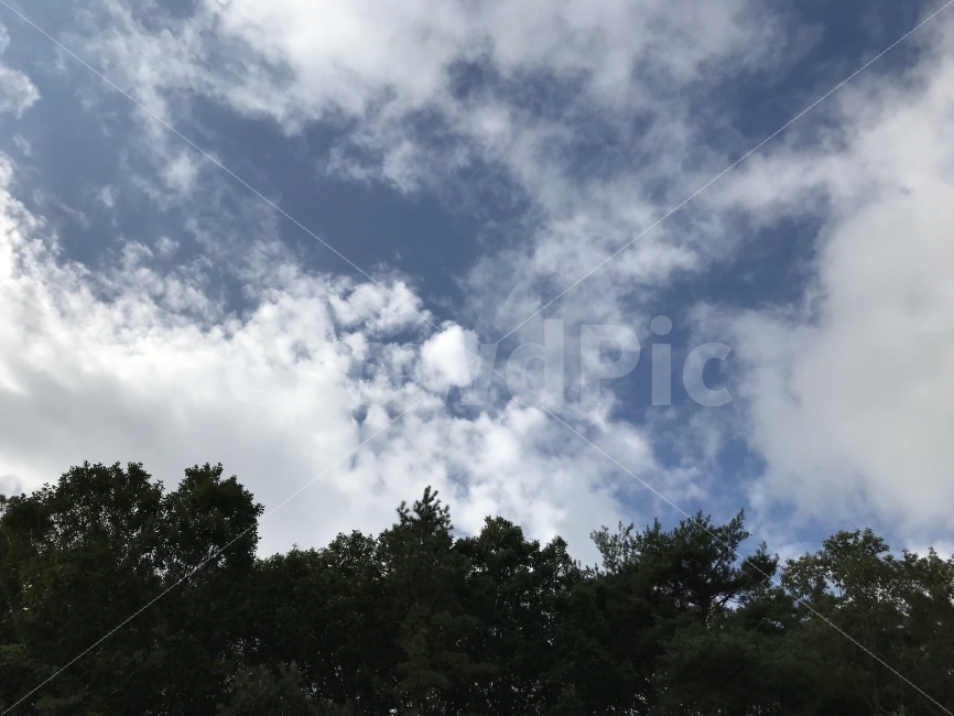 하늘,자연풍경,자연,나무,산,자연,풍경,nature,landscape,weather,날씨,outdoors,옥외,sky,cumulus,적운,cloud,구름