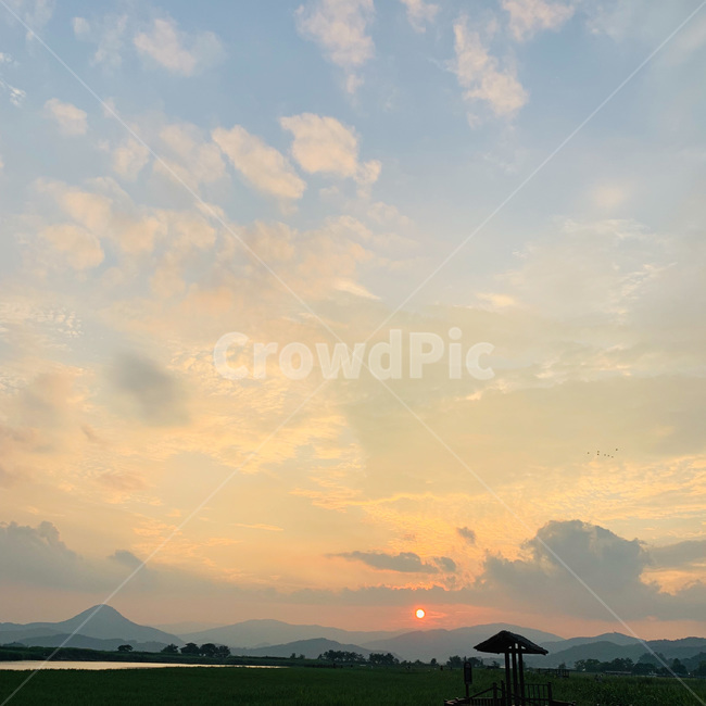 순천,suncheon,순천만습지,suncheonmanbay,여름,summer,nature,자연,outdoors,옥외,sky,해질녘,하늘,노을,sunset,일몰,석양,황혼