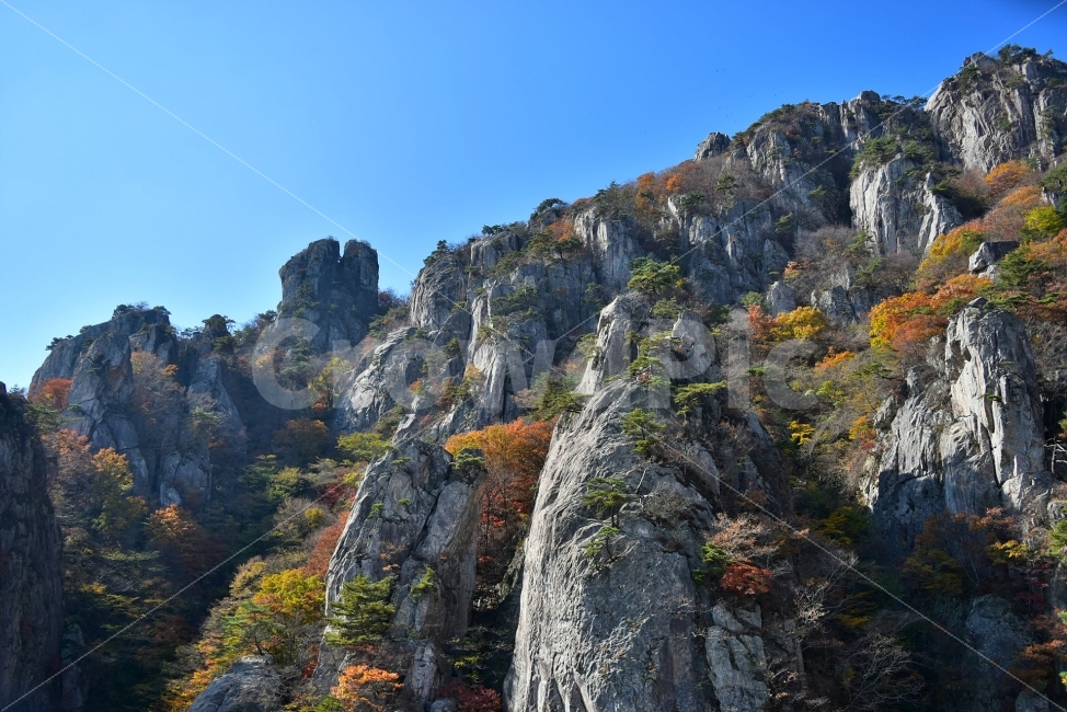 대둔산,가을,풍경,단풍,탐방,도립공원,빨간단풍,파란하늘,가을색,오색,울긋불긋,알록달록,그림같은,칼라풀,뷰티플,아름다운,힐링,감성,자연,정취,산세,명산,100대명산,nature,산,등산,트레킹,풍경사진,비경,경치,가을사진,가을색채,가을의정취,맑음,청명,가을날씨,경관,기암,암봉우리,mountain,금산,완주,논산,낙조대,낙조산장,마천대,케이블카,구름다리,삼선계단,칠성봉,가을,계절,fall,autumn,season,자연,풍경,nature,landscape,한국자연풍경,한국자연경관,korea nature landscape,cliff,낭떠러지,outdoors,옥외