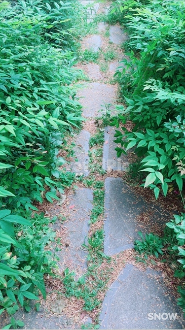 돌담길,돌길,산책,길,여유