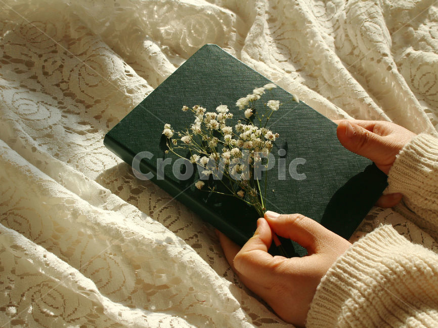 책,일기,일기장,다이어리,메모,기록,신체일부,몸,손,hand,body,diary,안개꽃,꽃,flower,레이스,꽃,flower,사람,인물,인간,human,person,신체일부,몸,body,감성,sensible,feeling,학용품,문구류,사무용품,school supplies,stationery,office supplies