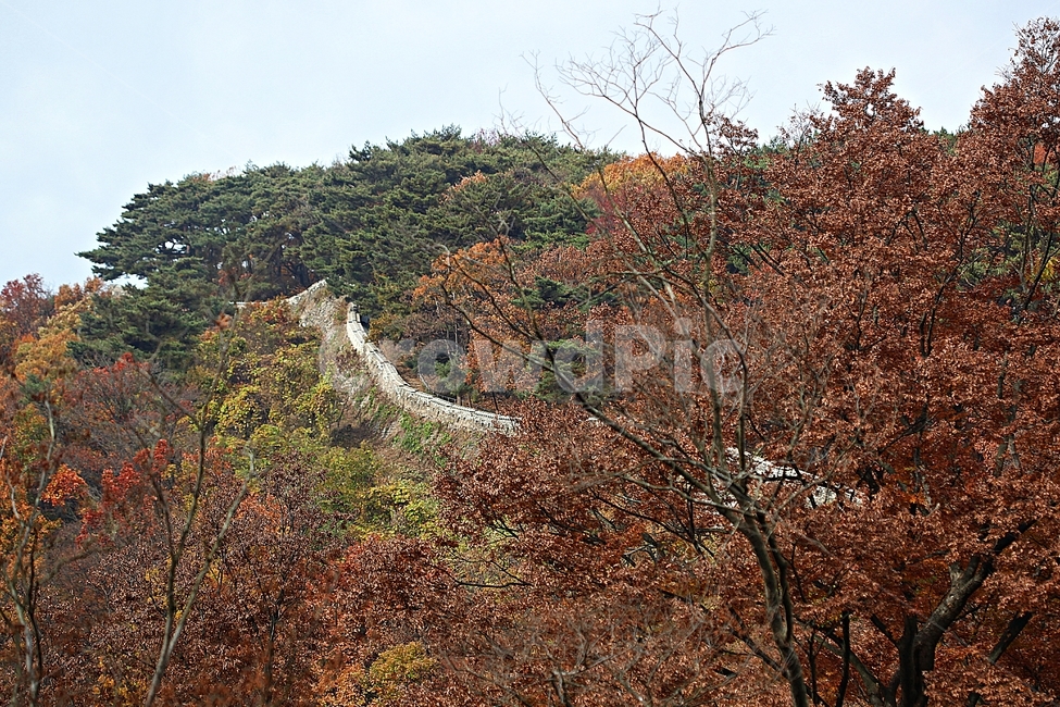 남한산성,성,성곽,단풍,낙엽,길,둘레길,숲,숲길,담,돌담,가을,자연,풍경,벽,울긋불긋,산성,식물,가을,계절,fall,autumn,season