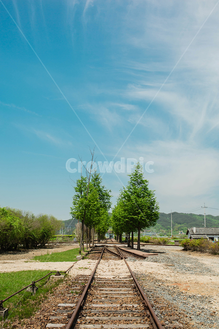 역,폐역,구식,서도역,남원,철도,폐역사,자연,풍경,nature,landscape,tree,나무,plant,식물,fir,전나무