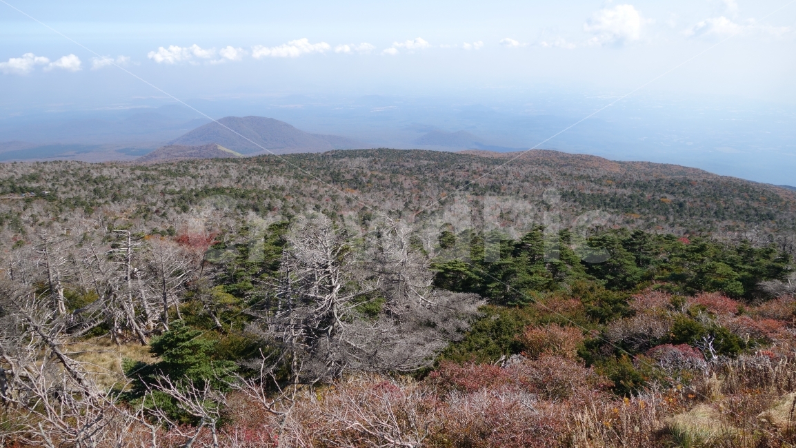 제주도,바다,자연,섬,하늘,갈대,시원하다,산,성산일출봉,한라산,제주,여름,가을,시원한,해양,여행,비행기,풍경,바닷가,해변,조화,배경,홈페이지,바람,자연경관,돌,고대지,풀,구름,들판,산길,백록담,산정상,산꼭대기,등산,트래킹,트레킹,워킹,돌담길,둘레길,걷다,반짝반짝,눈부신,부서지는,날씨,자연,풍경,nature,landscape,제주도,jeju,jeju island,outdoors,옥외,wilderness,황야