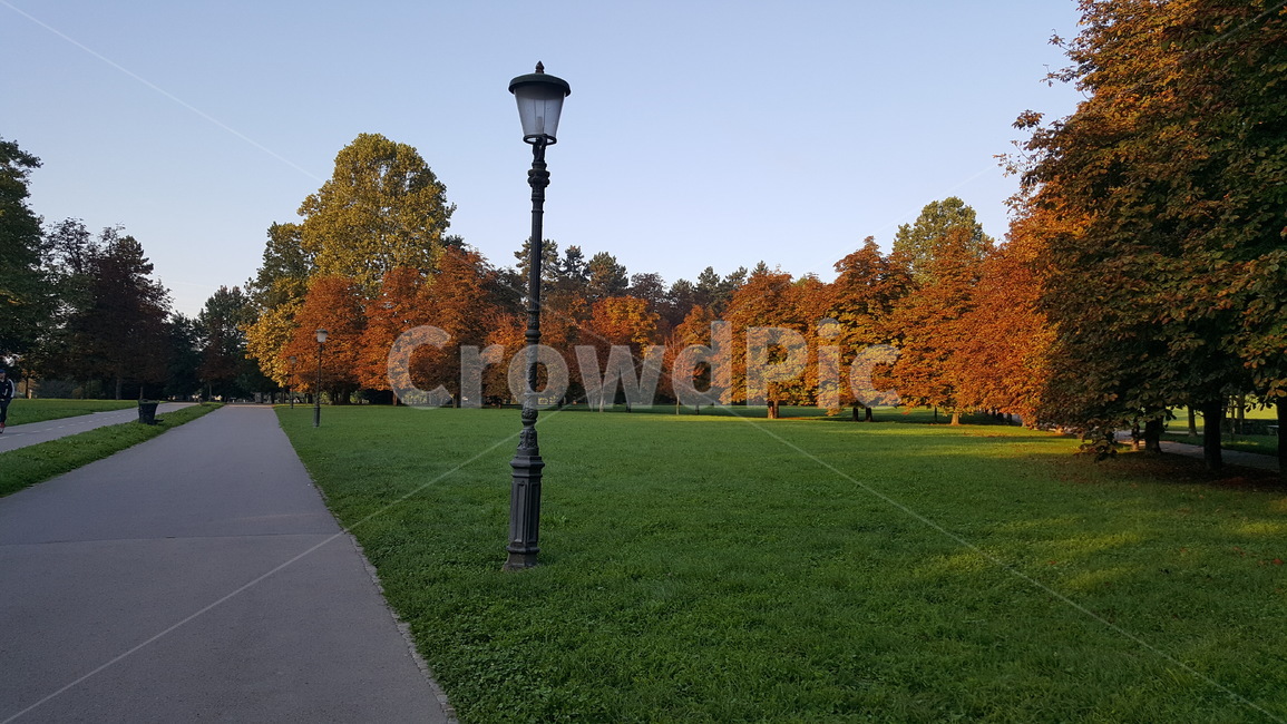 park,공원,plant,식물,grass,잔디,가을,autumn,fall,가을,계절,fall,autumn,season,자연,풍경,nature,landscape
