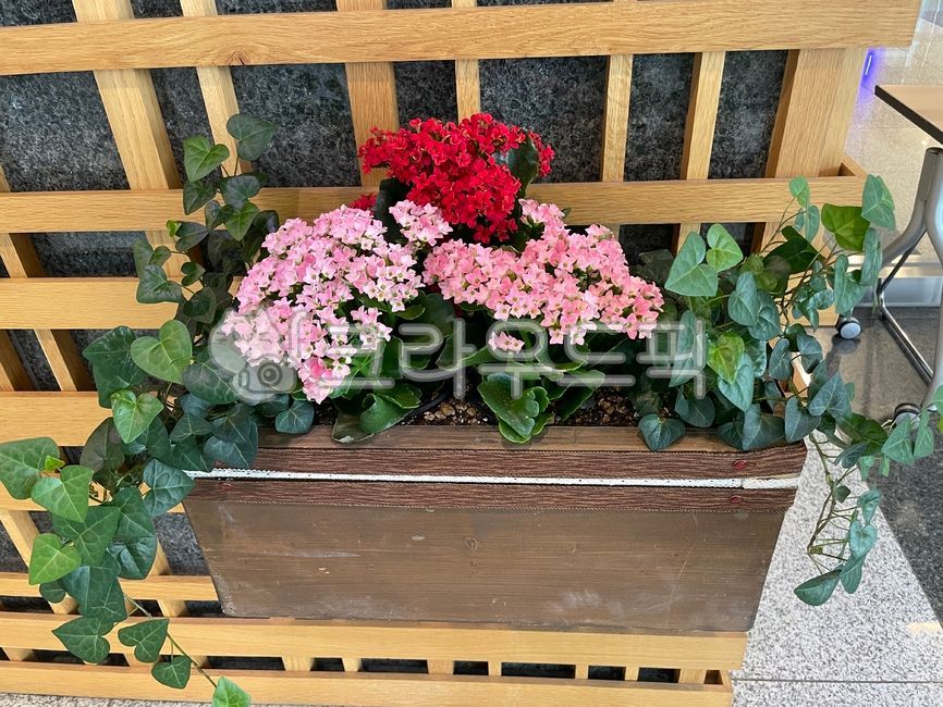 flower,flowerarrangement,꽃다발,flowerbouquet,꽃꽂이