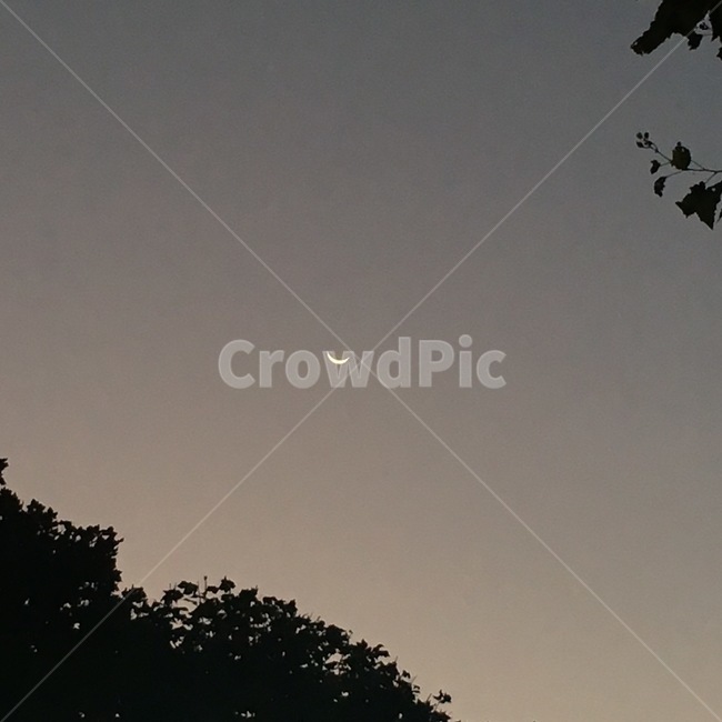 피드,달,하늘,moon,밤,배경,배경화면,감성,감성사진,nature,자연,outdoors,옥외,야경,밤,풍경,nightscape,night,landscape
