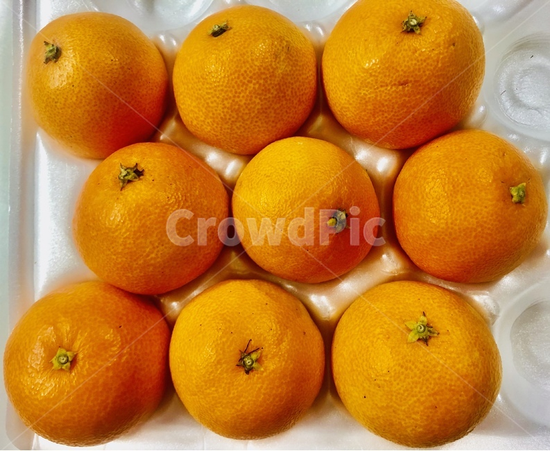 황금향,귤,과일,감귤류과일,orange,과일,열매,fruit