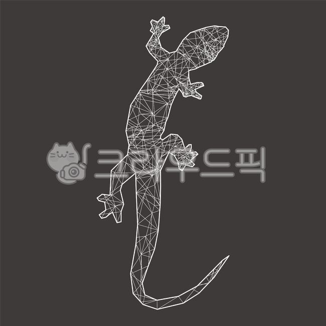 도마뱀,별자리,기하학,기하학무늬,lizard,리자드,뱀,카멜레온,파충류,개코,도롱뇽,개구리