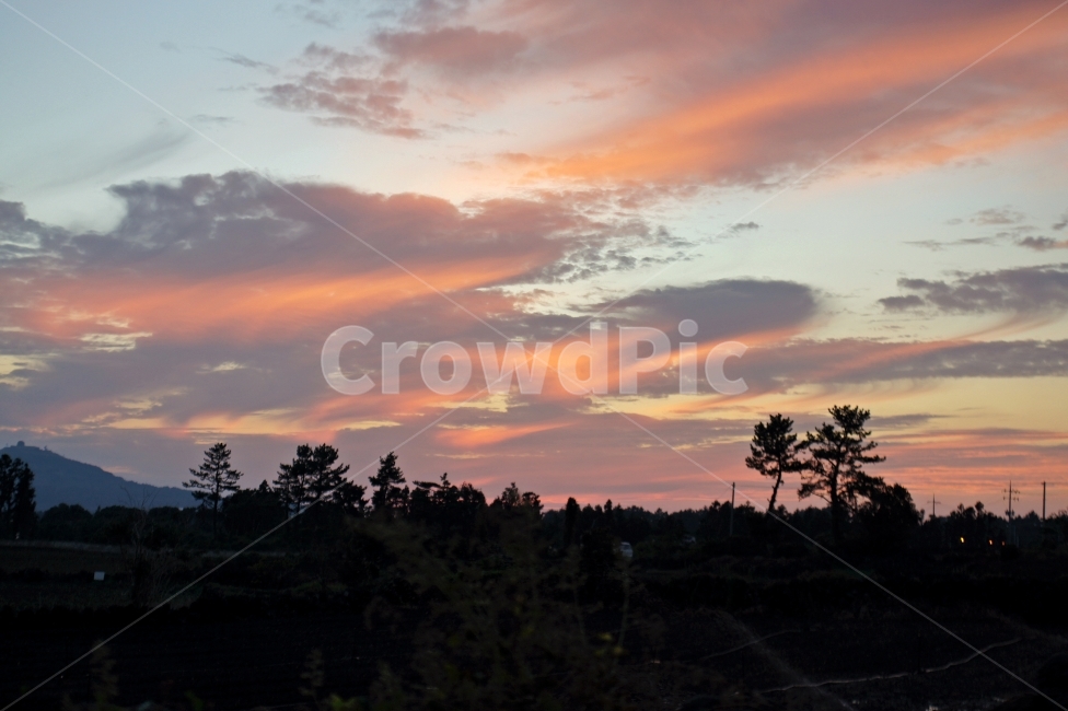 풍경,landscape,노을,sunset,숲,forest,하늘,sky,감성,구름,croud,바람,wind,역광,실루엣,자연,풍경,nature,landscape,outdoors,옥외,dusk,황혼,일몰,red sky,붉은 하늘,dawn,새벽