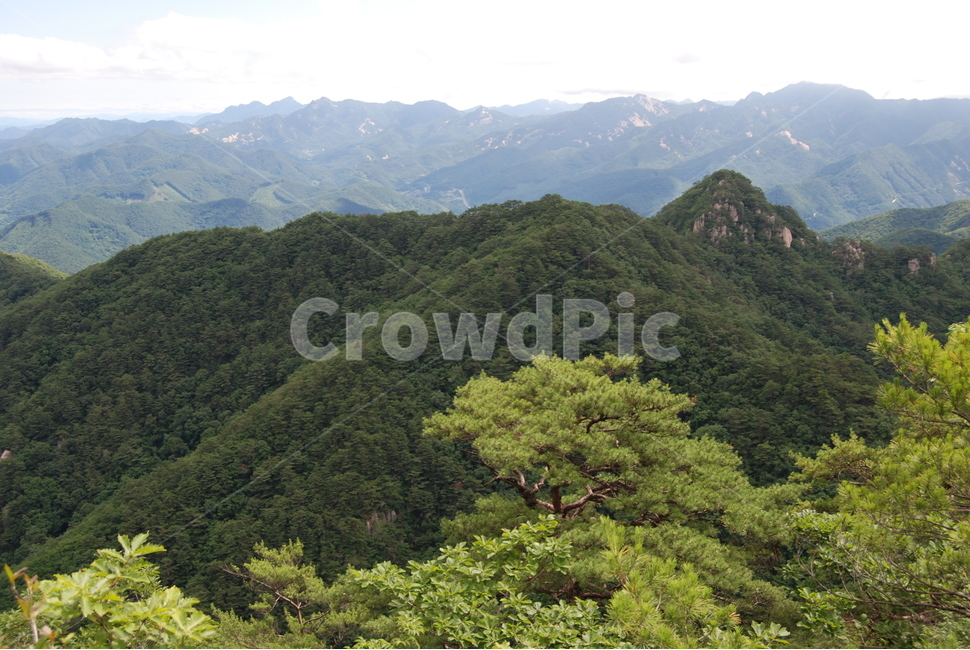 산,자연,여름,하늘,구름,나무,자연,풍경,nature,landscape,slope,경사,outdoors,옥외,hill,언덕