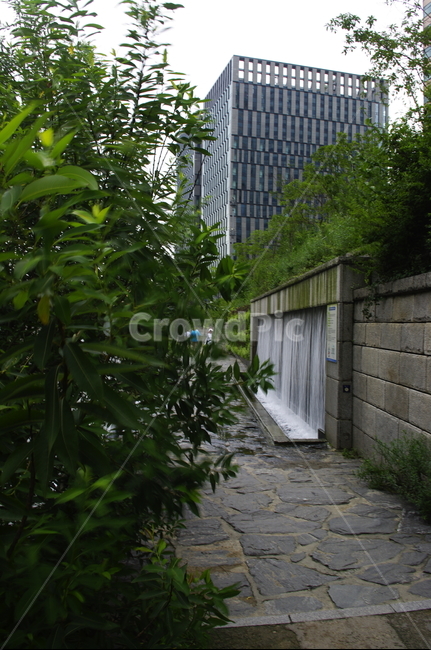초록,나무,식물,plant,자연,nature,청계천,길,빌딩,자연,풍경,nature,landscape,flagstone,판석