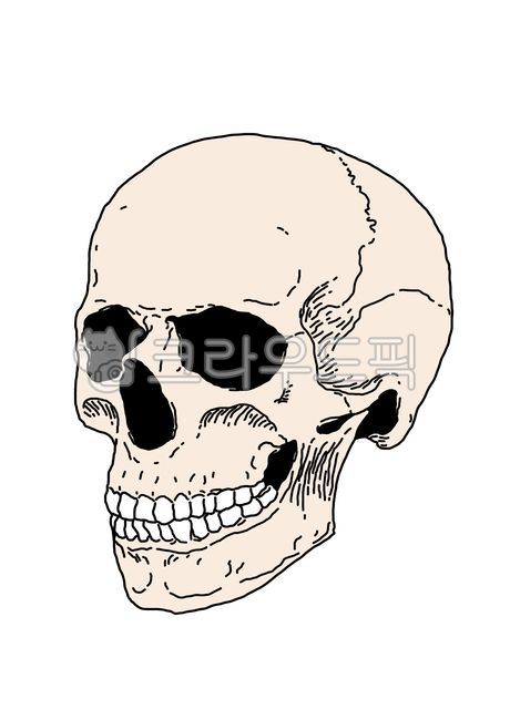 해골,뼈,해골일러스트,해골그림,인간,휴먼,사람,사람뼈,인간뼈,위험,금지,조심,일러스트,그래픽,디자인,skull,illust,skullillust,drawing,person,human,bone