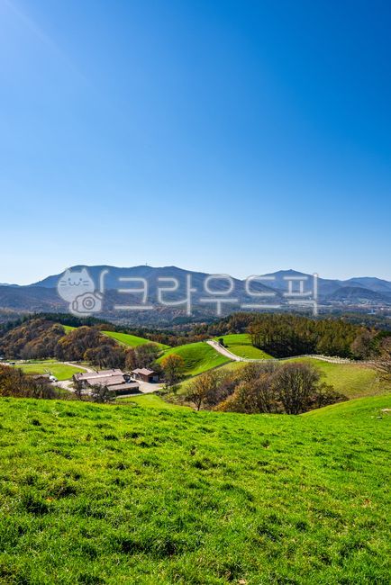 대관령,대관령양떼목장,양떼목장,풀밭,목초지,목장,초원,자연,배경,풍경,한국자연풍경,언덕,산책,길