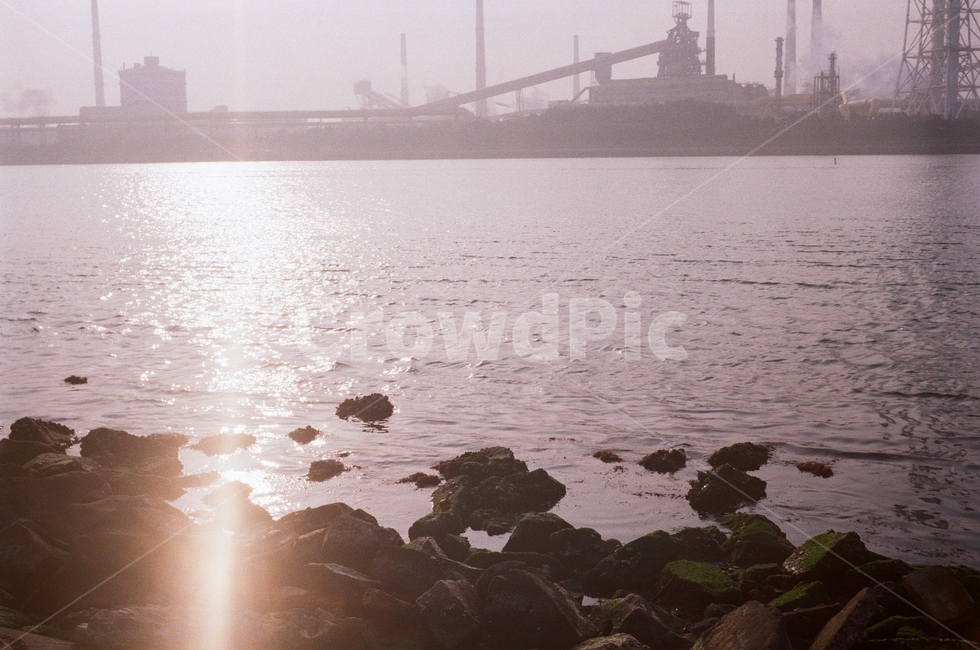 바다,공장,필름카메라,햇살,역광,산업,industry,industrial