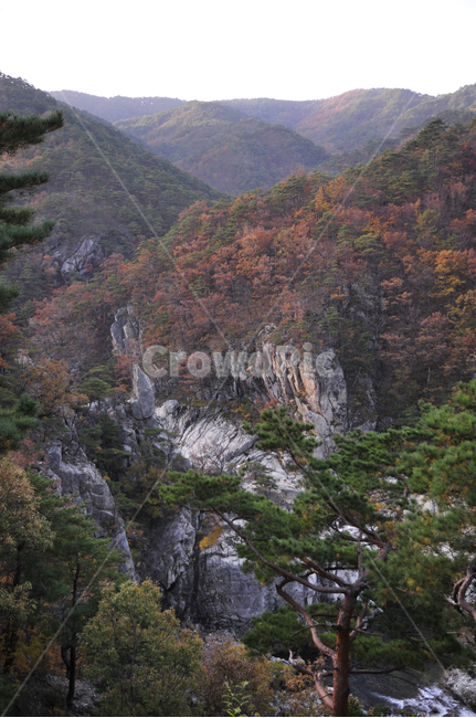 불영사,불영사계곡,가을,단풍,자연,nature,mountain,산,가을불영사,가을불영사계곡