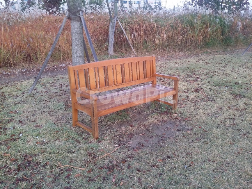 잔디,의자,벤치,공원,공원벤치,bench,parkbench