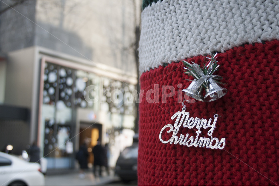 크리스마스,겨울,겨울풍경,크리스마스장식,성탄절,가로수길,전봇대,winter,christmas,xmas,decoration,겨울,계절,winter,season,기념일,축하,anniversary,congratulation,celebrate,celebration,메리크리스마스,성탄절,merry christmas,사물,물건,오브젝트,thing,object,matter