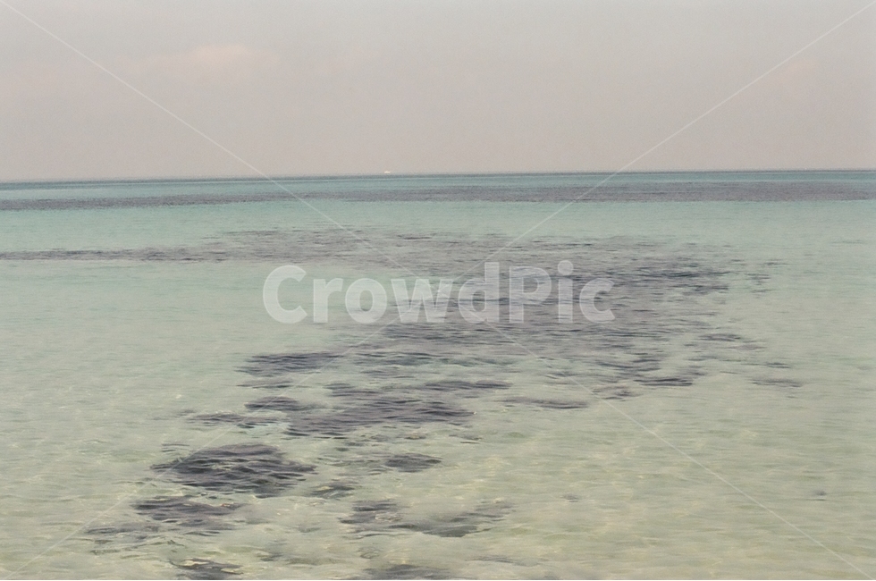 제주도,바다,월정리,필름사진,감성,파도,자연,풍경,nature,landscape