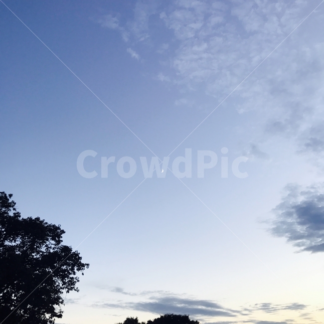 달,하늘,sky,노을,moon,sunset,자연,풍경,nature,landscape,outdoors,옥외