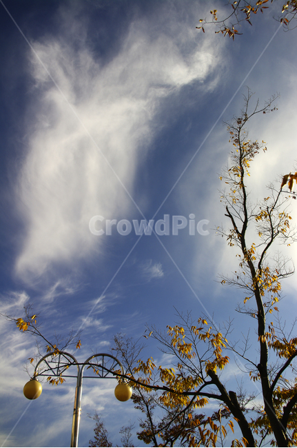 나무,잎,단풍,구름,하늘,식물,가을,가을,계절,fall,autumn,season,자연,풍경,nature,landscape,식물,plants,나무,trees,wood