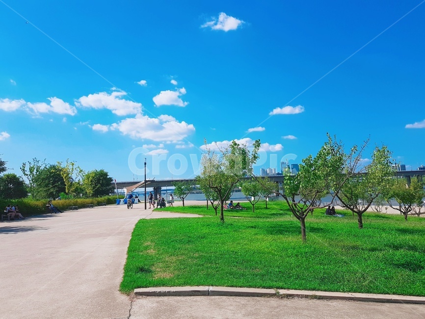 하늘,구름,풍경,분위기,하늘색,파란색,초록색,한강,한강공원,피크닉,picnic,나무,잔디,자연