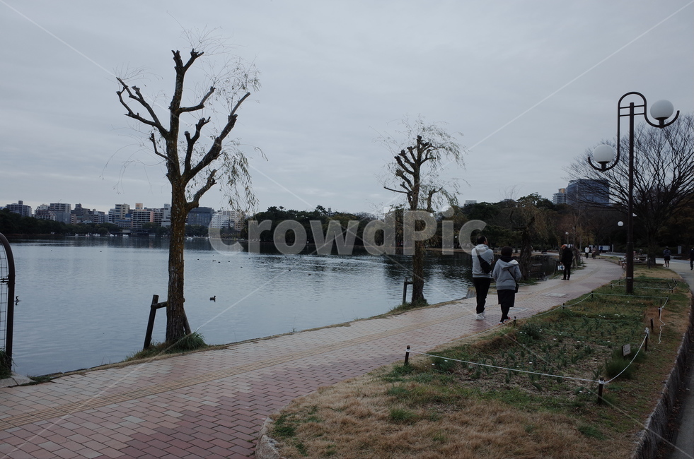 person,사람,human,인간,water,물,outdoors,옥외