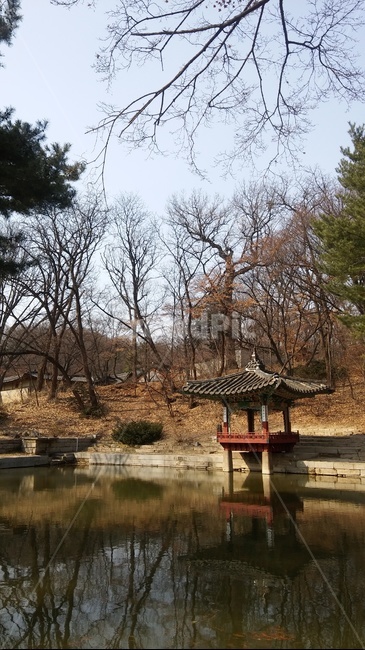 창경궁,한국,고궁,연못,정자,한국전통,한국문화,korean traditional,korean culture,랜드마크,landmark,tourist attraction,한국랜드마크,한국관광지,한국명소,korea landmark,korea tourist attraction
