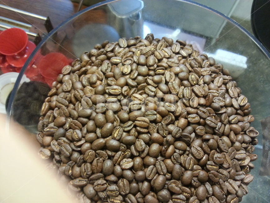 커피,커피콩,coffee,bean,coffeebean