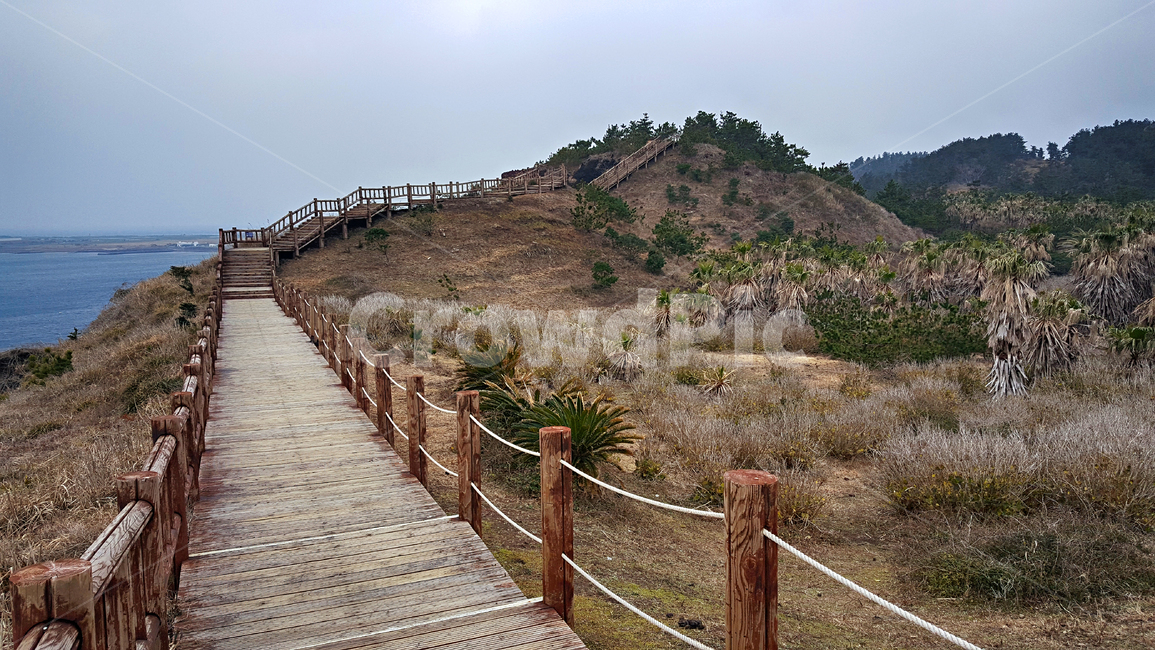 송악산,둘레길,제주도,서귀포시,바다,길,절벽,해안절벽,자연,풍경,nature,landscape,한국자연풍경,한국자연경관,korea nature landscape,제주도,jeju,jeju island
