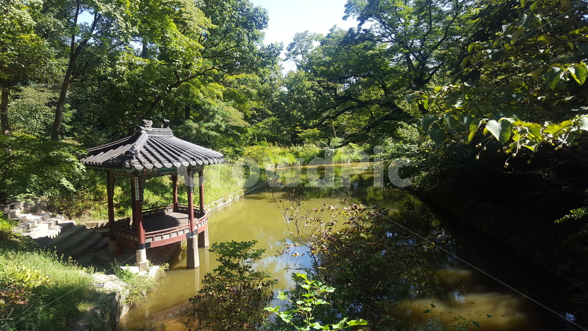 후원,nature,backgarden,後園,자연,한국전통,한국문화,korean traditional,korean culture,건축물,건물외관,exterior,building,structure,architecture,construction
