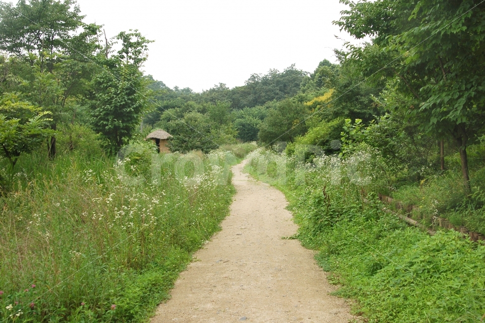 길,오솔길,시골,전원,촌,산골,오두막,집,초가집,풍경,자연,풍경,nature,landscape,여름,계절,summer,season,gravel,자갈,dirt road,흙길,road,도로,outdoors,옥외,grassland,목초지,field,들