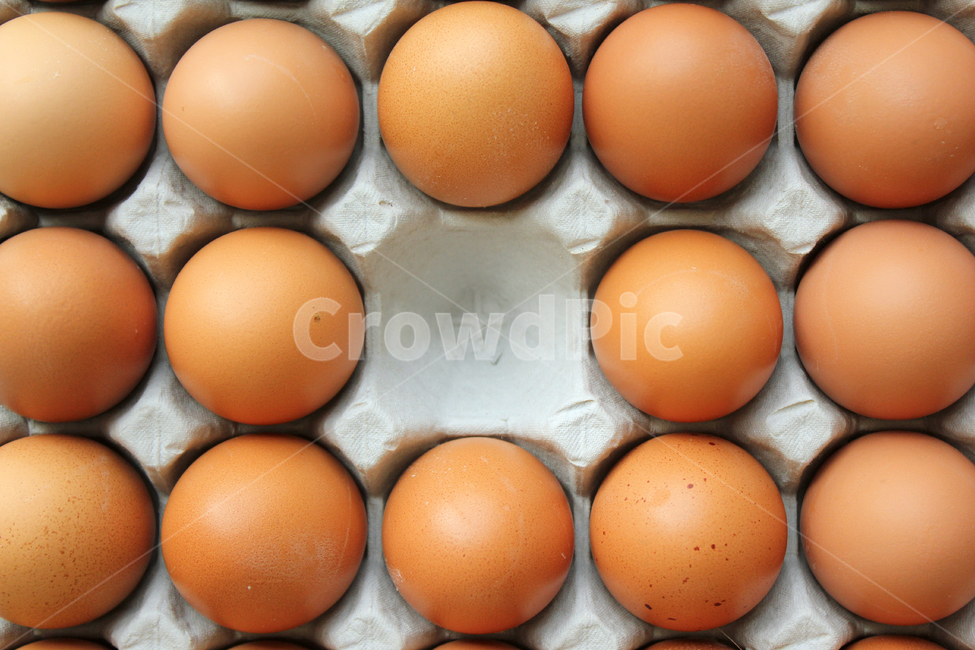 tray,Fresh,eggtray,egg,top angle,empty,protein,Food Ingredients,ingredients,Agriculture,cooking,diet,bean,eggs,top view,egg carton,cook,food ingredients,emptied,cooking ingredients,food,meal,grocery,fresh