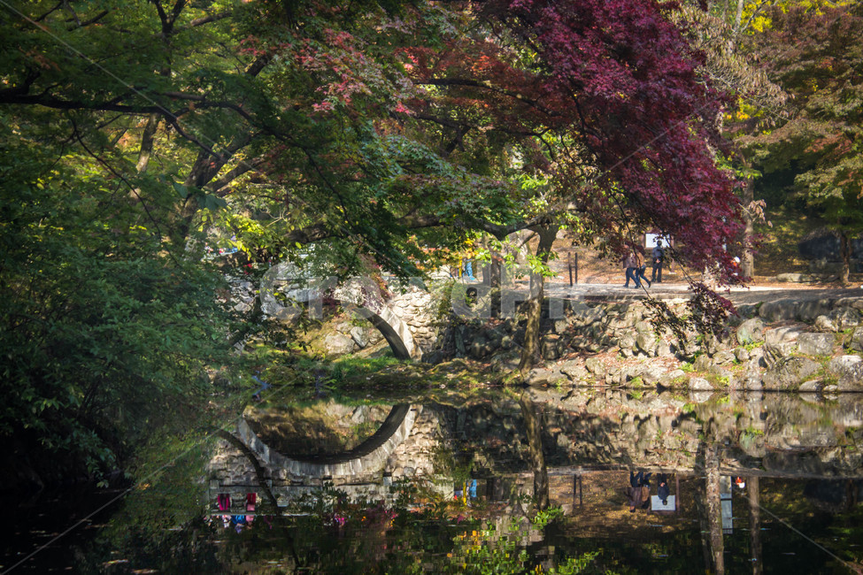 장성,백양사,단풍,가을,풍경,반영,백양사단풍,가을,계절,fall,autumn,season,자연,풍경,nature,landscape,한국자연풍경,한국자연경관,korea nature landscape,water,물,outdoors,옥외,land,땅