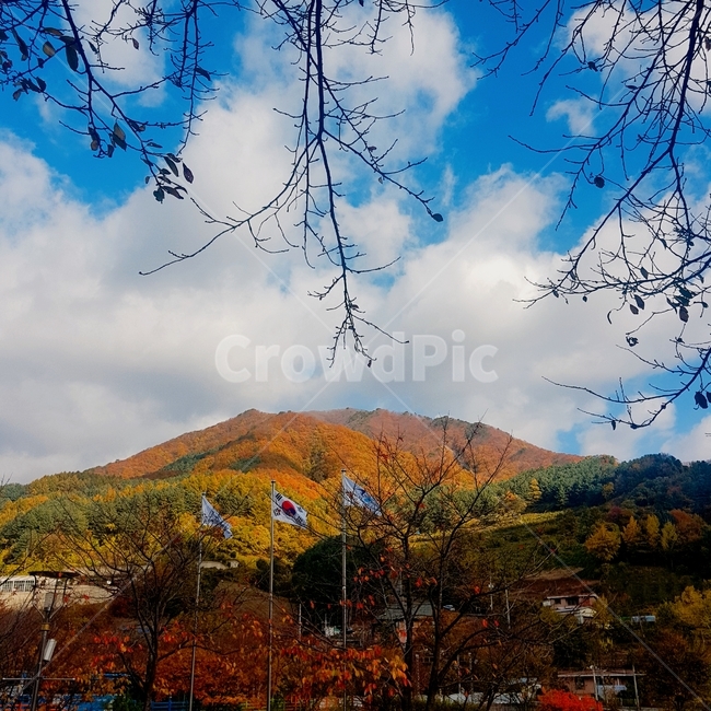 자연,단풍,가을,산,하늘